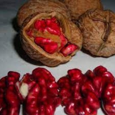images (3)